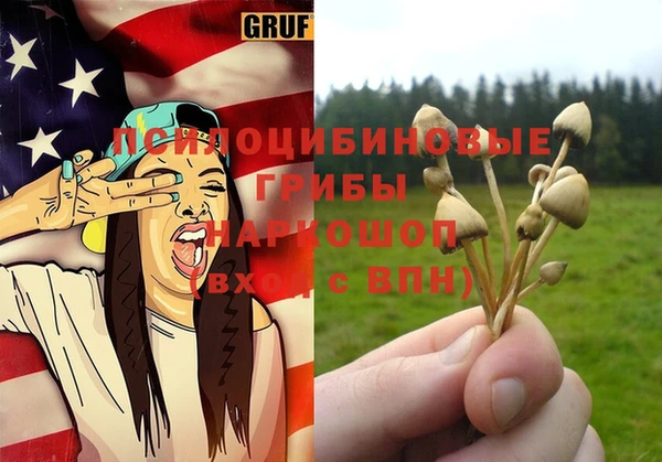 MDMA Дмитриев