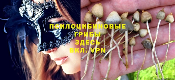 MDMA Дмитриев