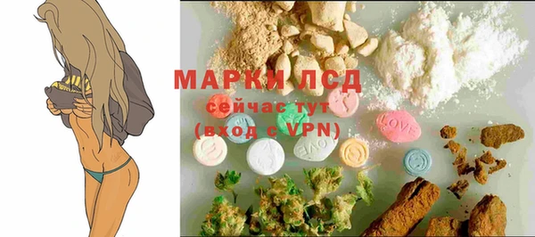 a pvp Дмитровск