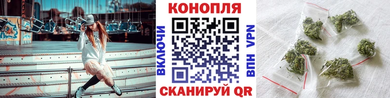 Каннабис семена  Купить закладки  Троицк 